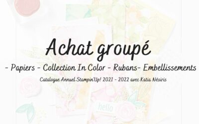 Achat groupé du catalogue annuel de Stampin’up