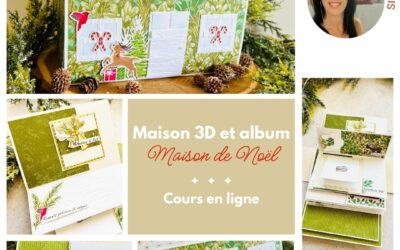 Cours en ligne Maison de Noël et son album