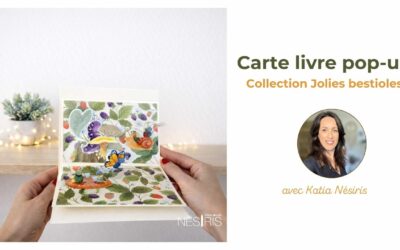 Carte livre pop-up